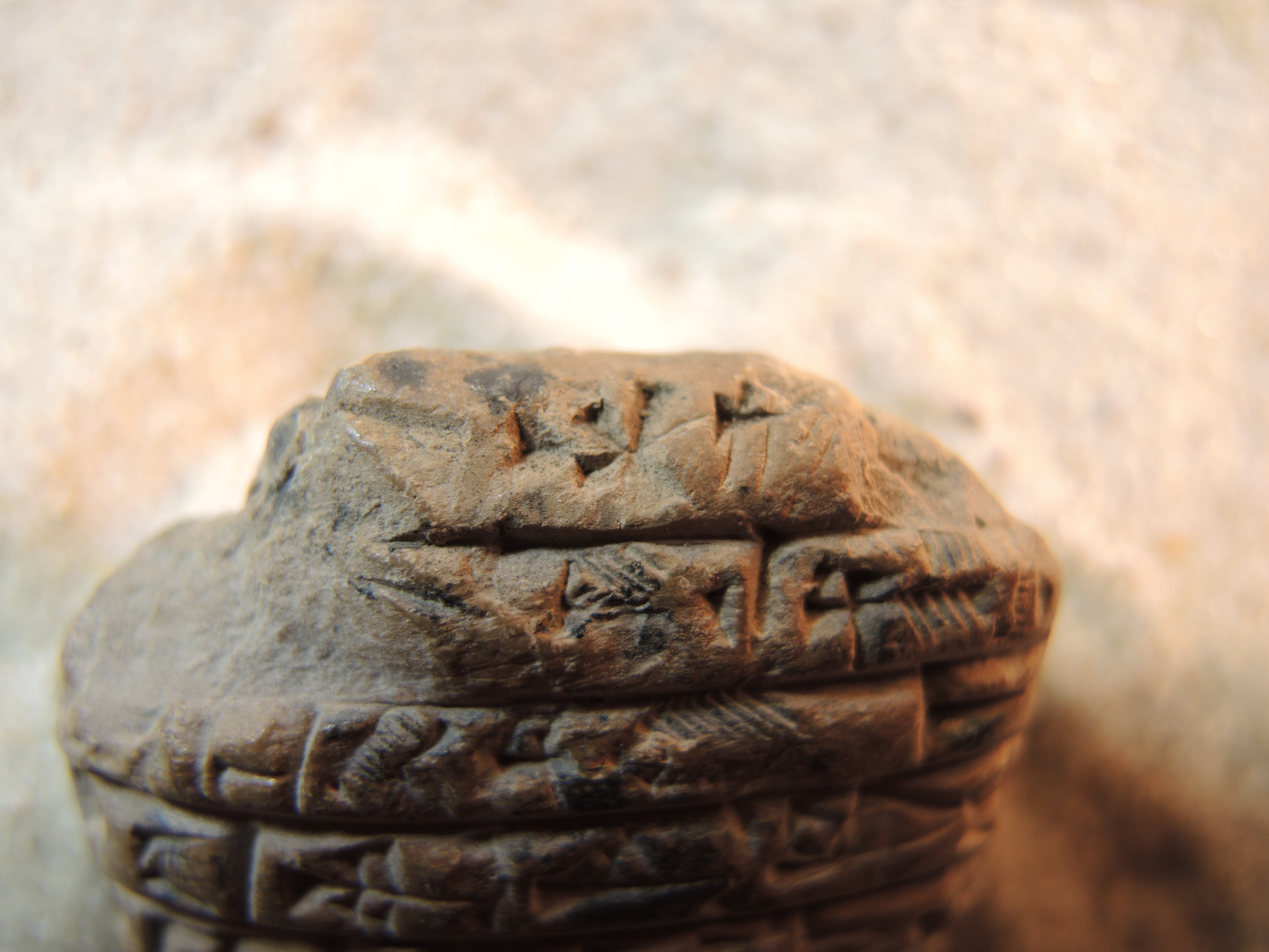 Rs. Detail 1